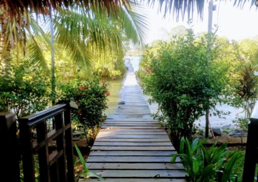 Maison sécurisé avec ponton, mangrove